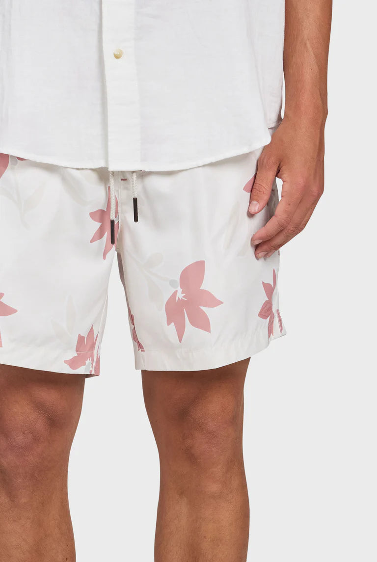 マーティー ボーディー - Dusty Cedar