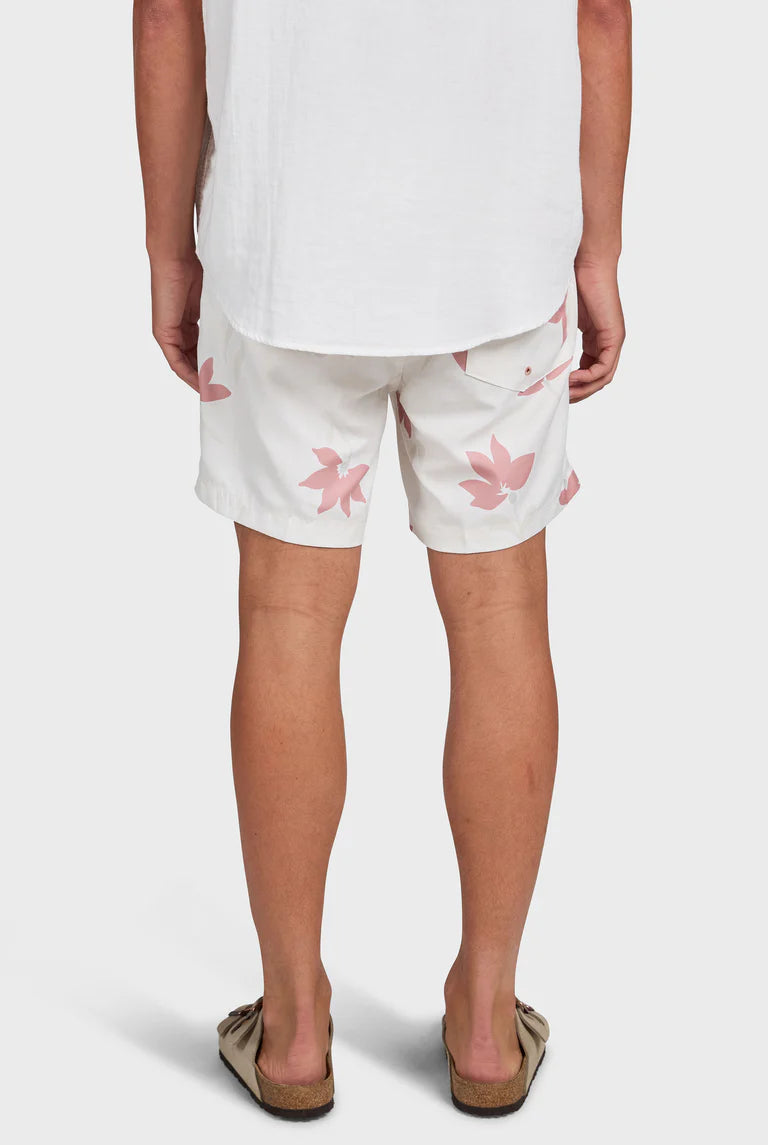 マーティー ボーディー - Dusty Cedar