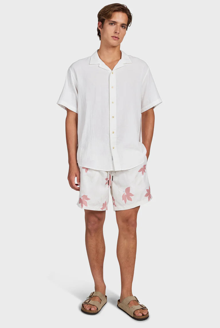 マーティー ボーディー - Dusty Cedar