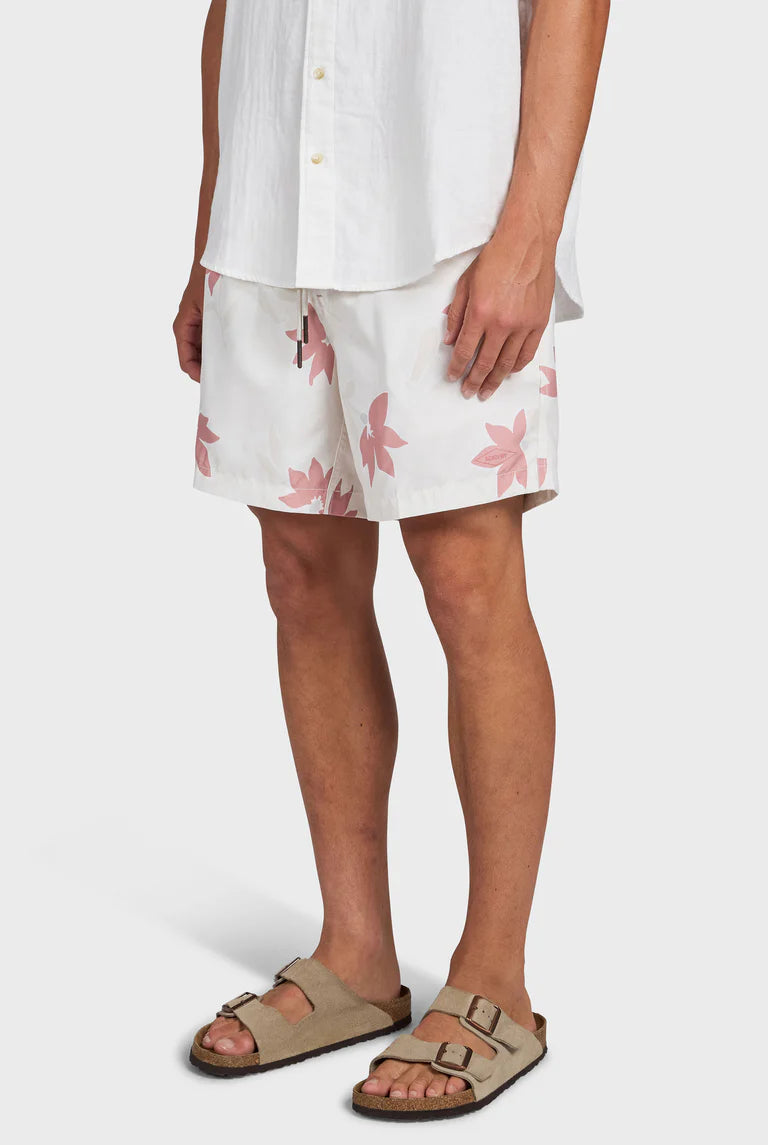 マーティー ボーディー - Dusty Cedar