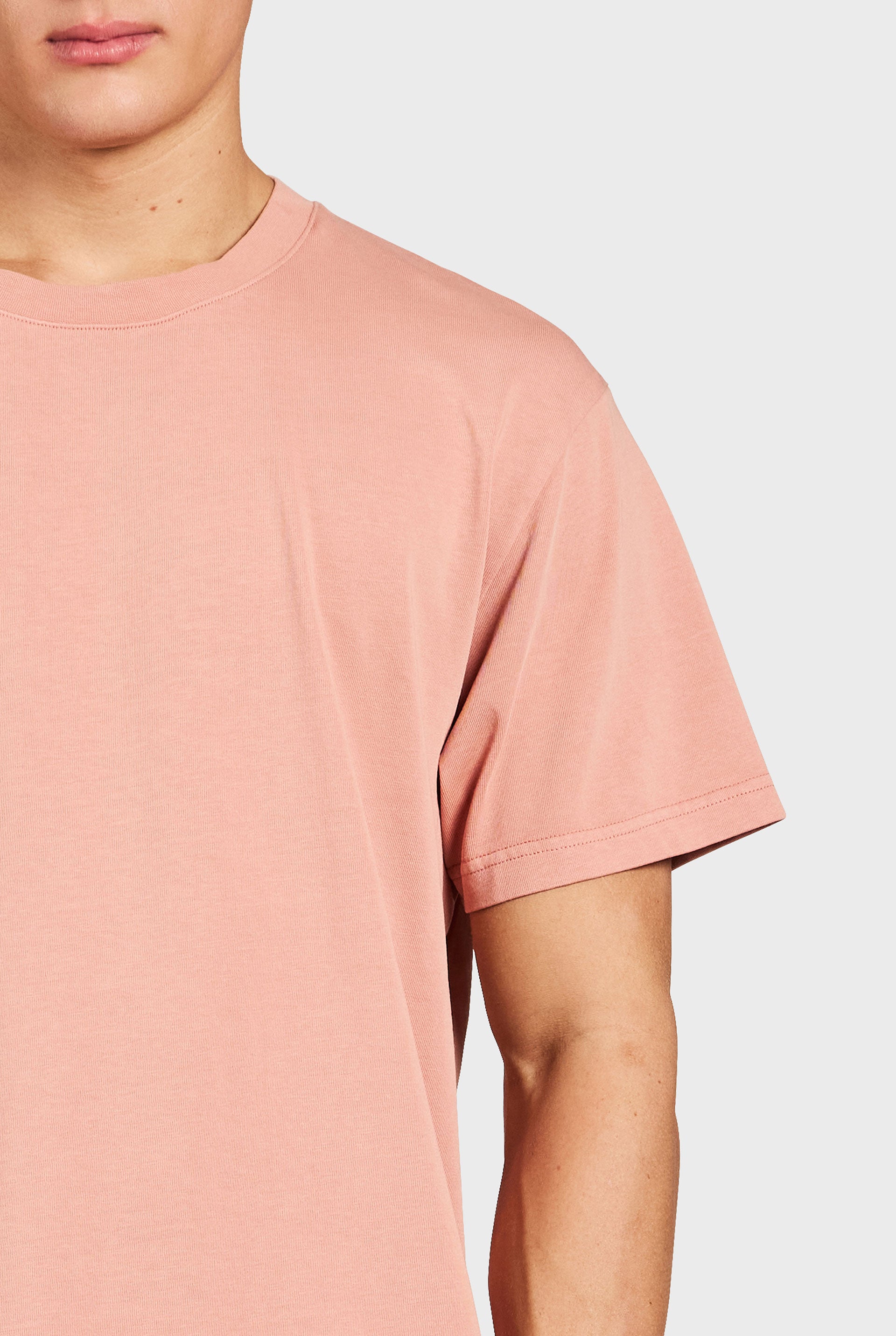 ロスTシャツ - Dusty Cedar